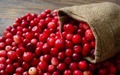 Recipe: Citrus Cranberry Relish