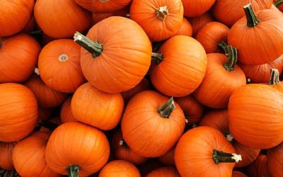 National Pumpkin Day: A New Recipe